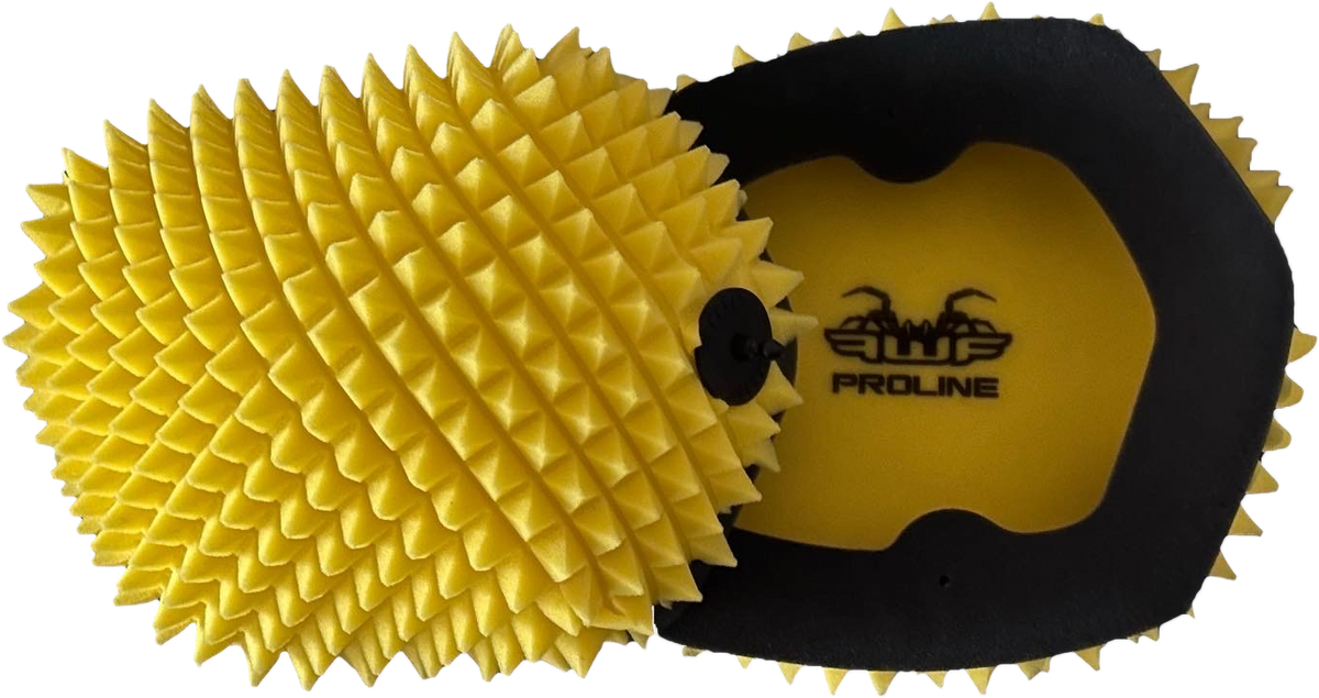AIR FILTER PROLINE