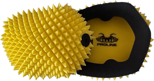 AIR FILTER PROLINE