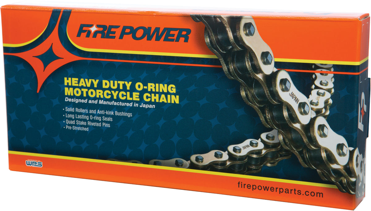 O-RING CHAIN 520X100